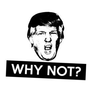 Why Not? Donald Trump