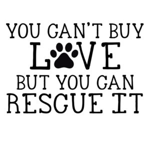 You can't buy love but you can rescue it - rescue dog