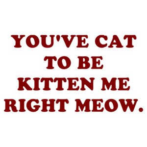 YOU'VE CAT TO BE KITTEN ME RIGHT MEOW.